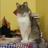 Отзыв от Наталья Третьякова